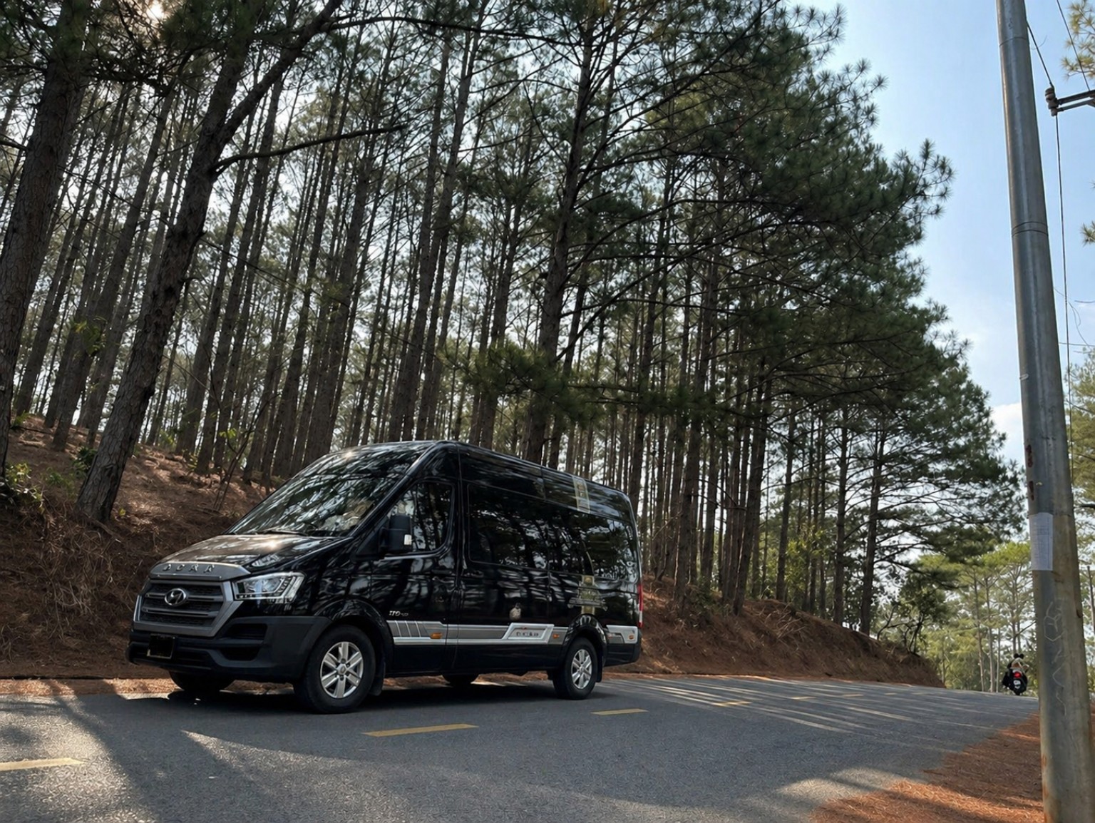 16-seat van for group private transfer